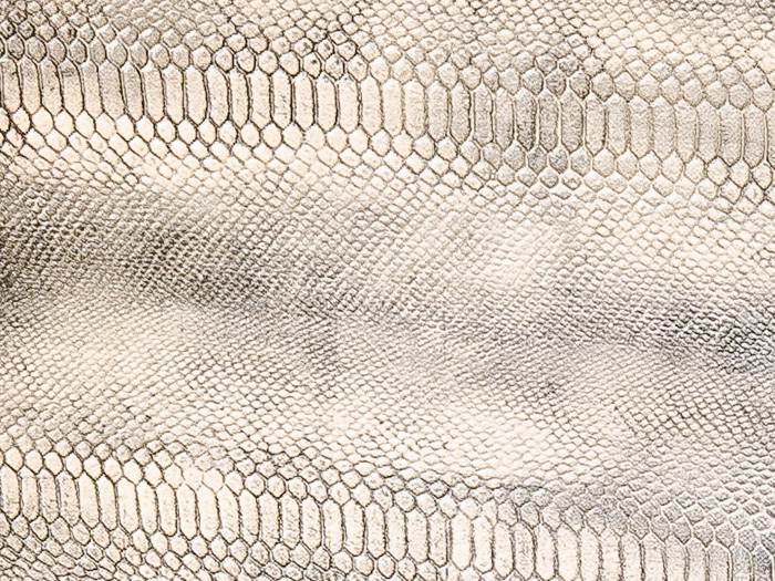 pittura pelle di serpente