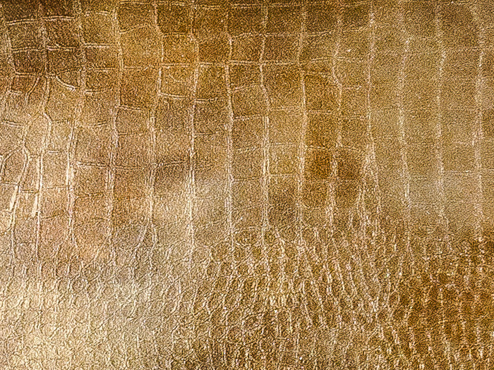 pittura in coccodrillo